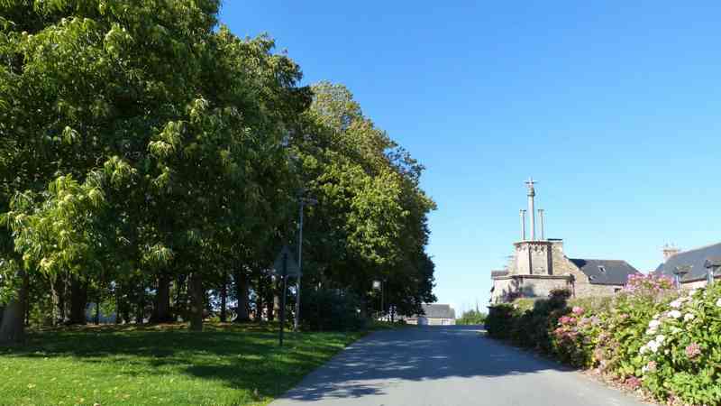 bois eglise